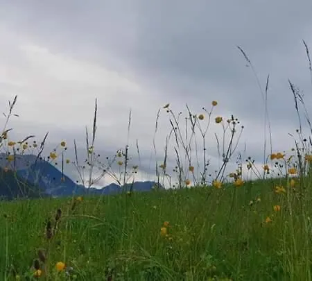 度假居 Alpenchalet Am Golfplatz