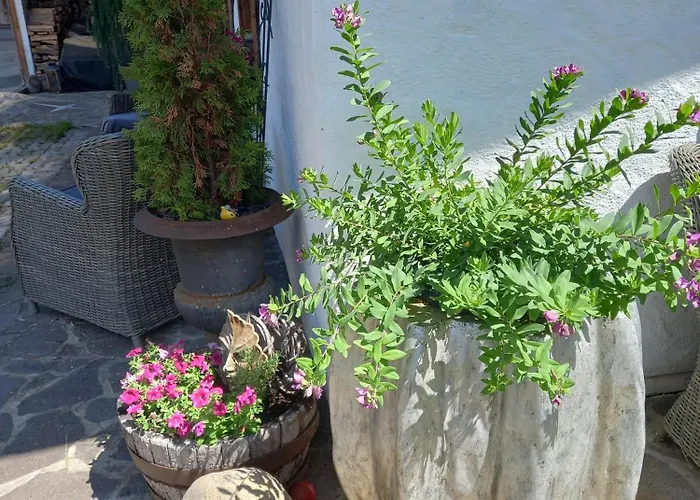 Alpenchalet Am Golfplatz Holiday home