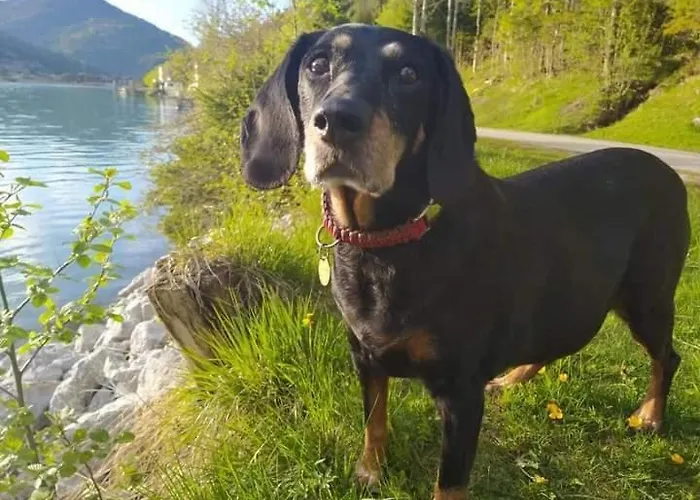 Alpenchalet Am Golfplatz Holiday home *