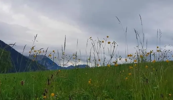 Σπίτι διακοπών Alpenchalet Am Golfplatz